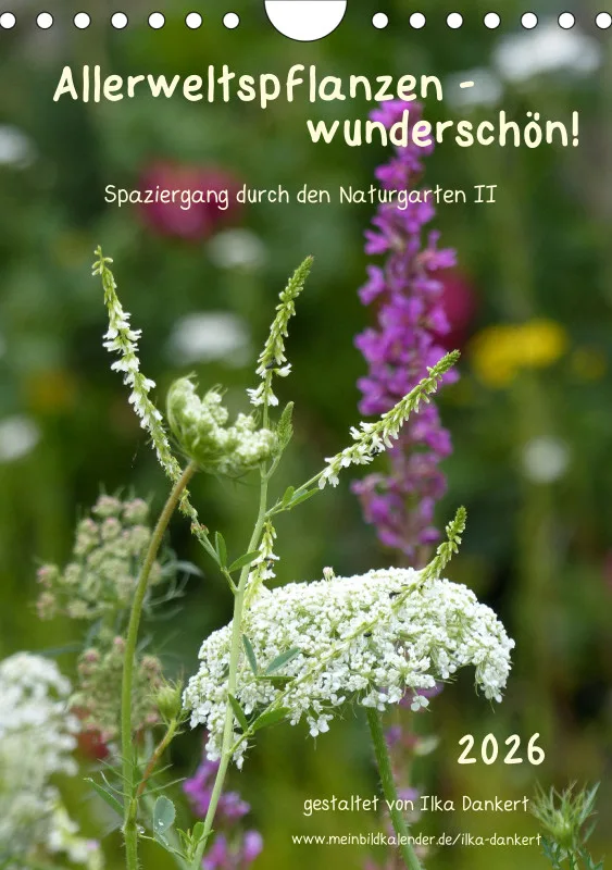 Allerweltspflanzen - wunderschön! II