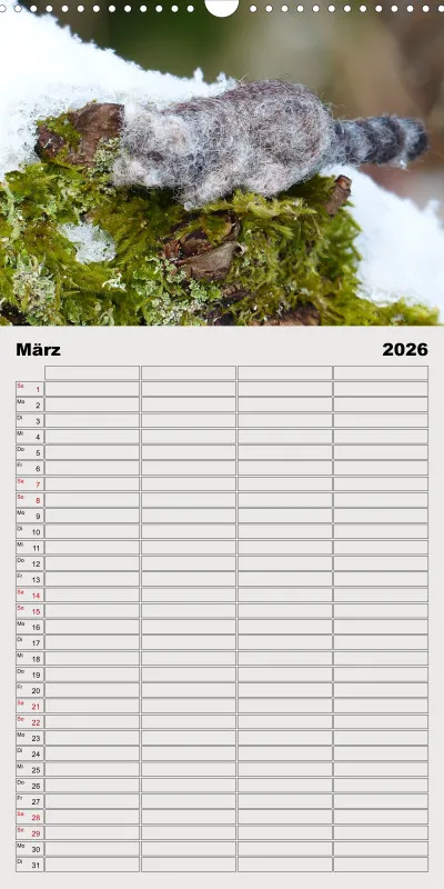Däumlings Tierleben