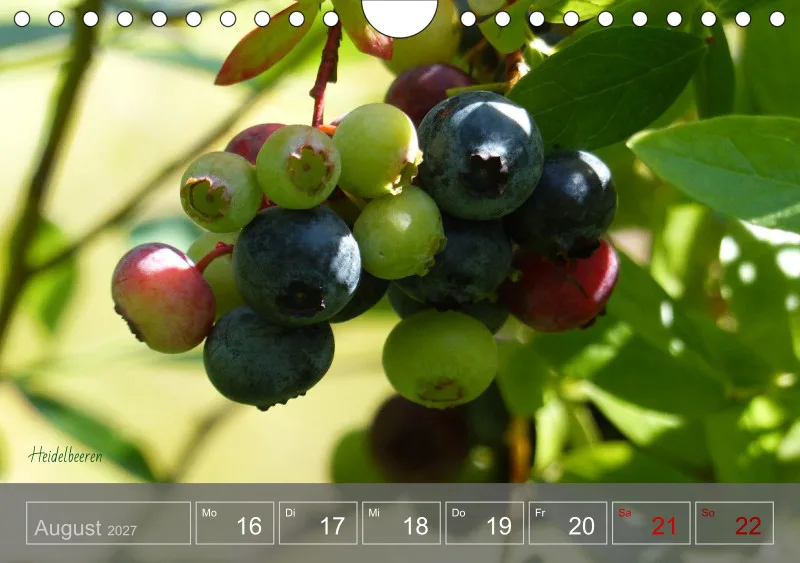 Gartenbilderbuch 2027