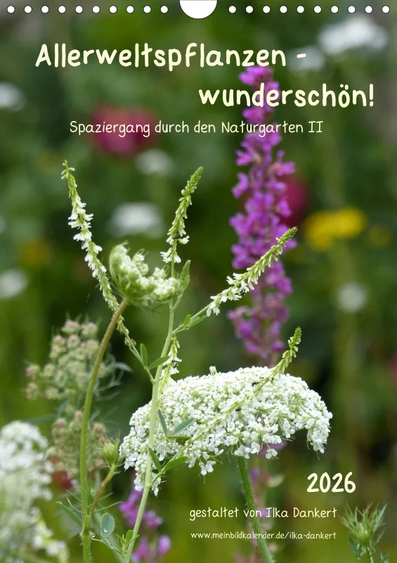 Allerweltspflanzen - wunderschön