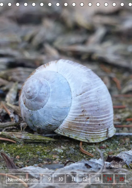 Gartenbilderbuch II