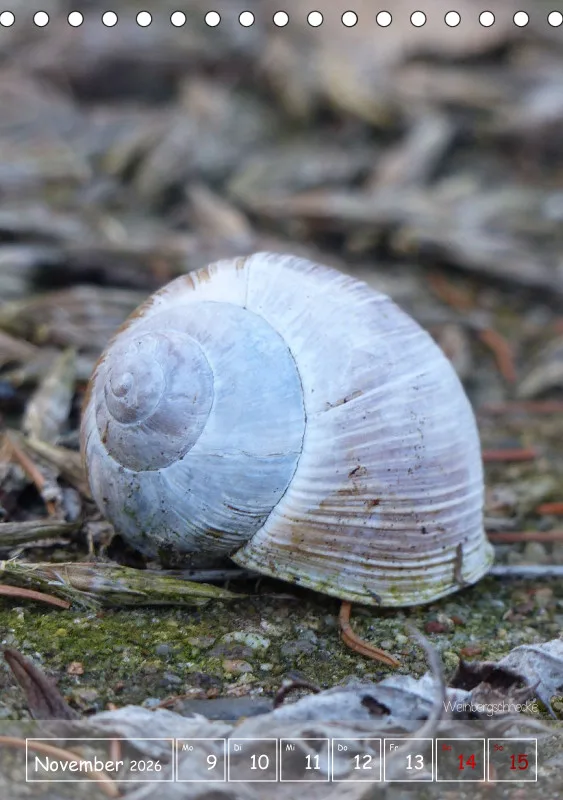 Gartenbilderbuch II
