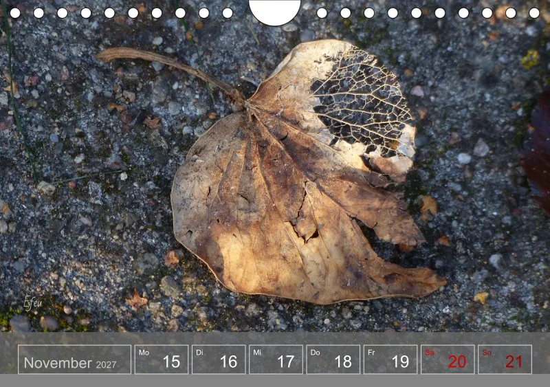 Gartenbilderbuch 2027