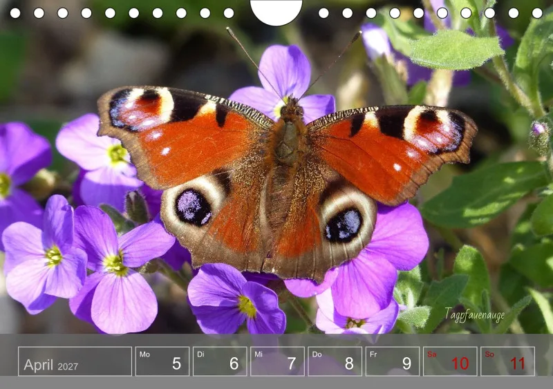 Gartenbilderbuch 2027