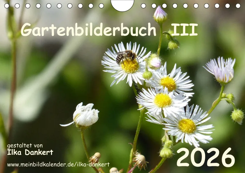 Gartenbilderbuch III