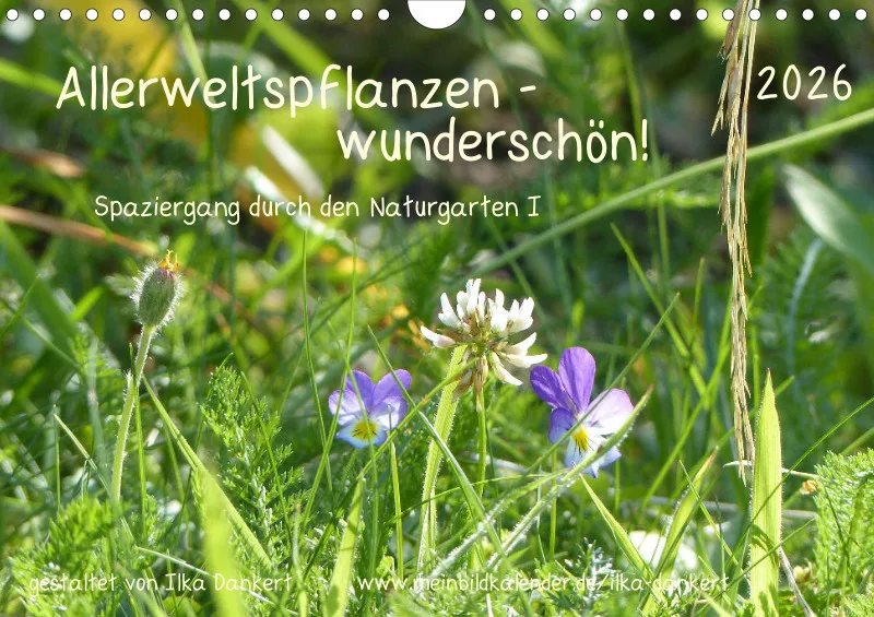 Allerweltspflanzen - wunderschön! I