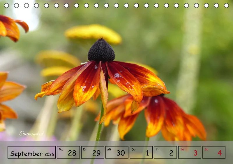 Gartenbilderbuch IV