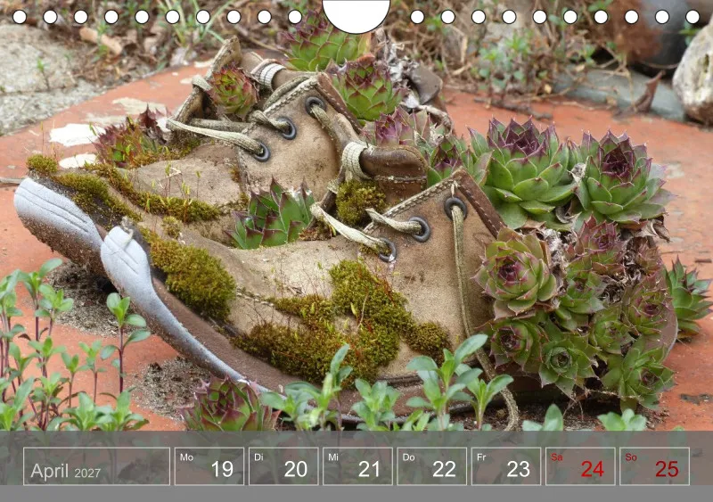 Gartenbilderbuch 2027