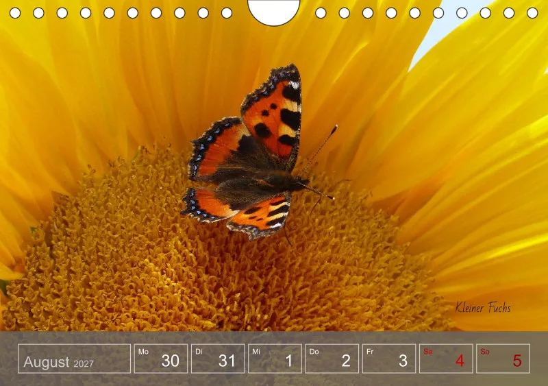 Gartenbilderbuch 2027