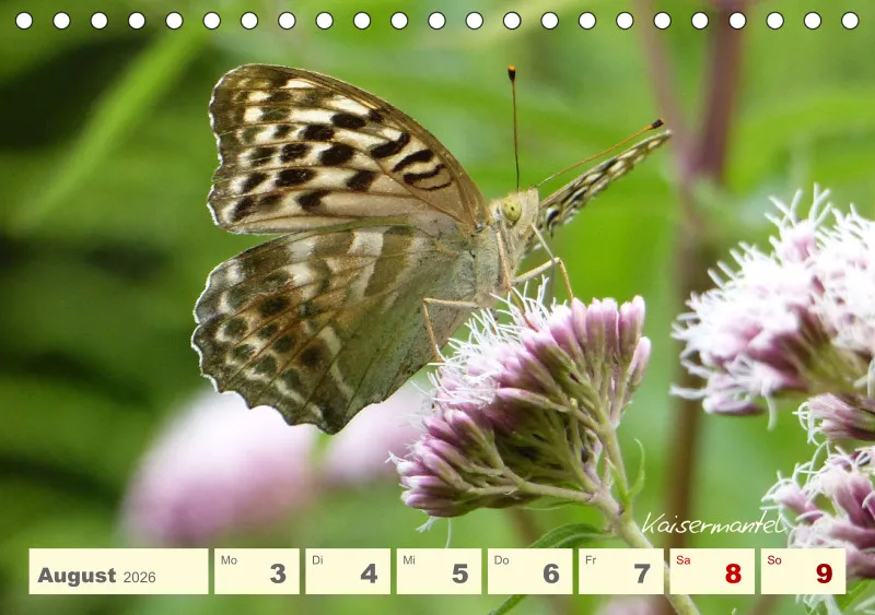 Gartenbilderbuch V