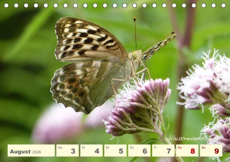 Gartenbilderbuch V