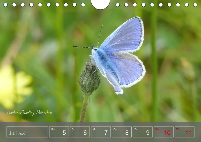 Gartenbilderbuch 2027