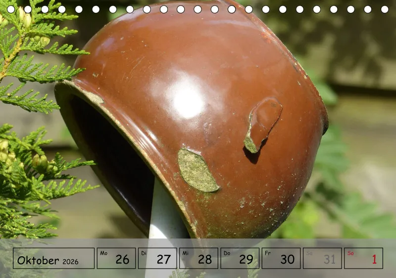 Gartenbilderbuch IV