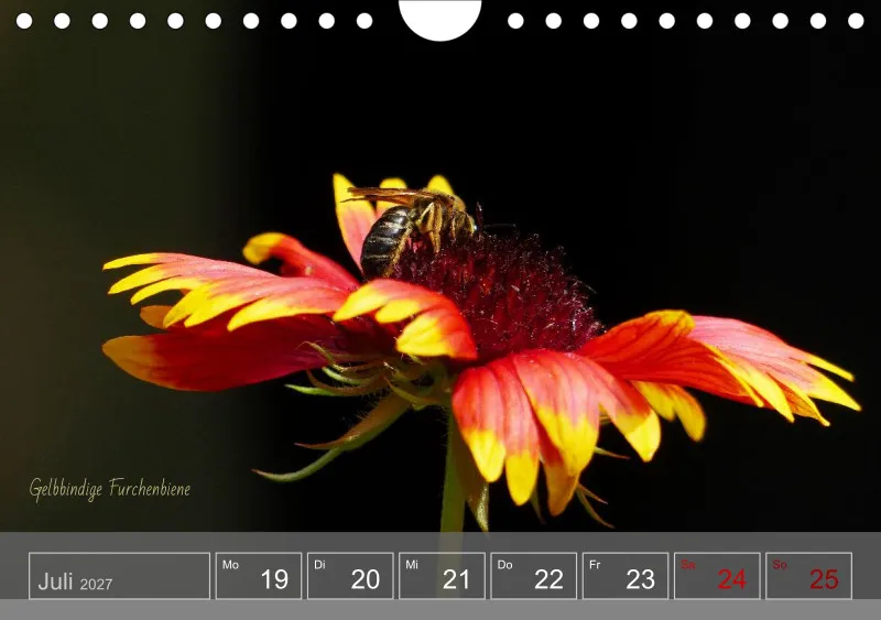 Gartenbilderbuch 2027