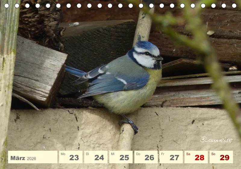 Gartenbilderbuch V