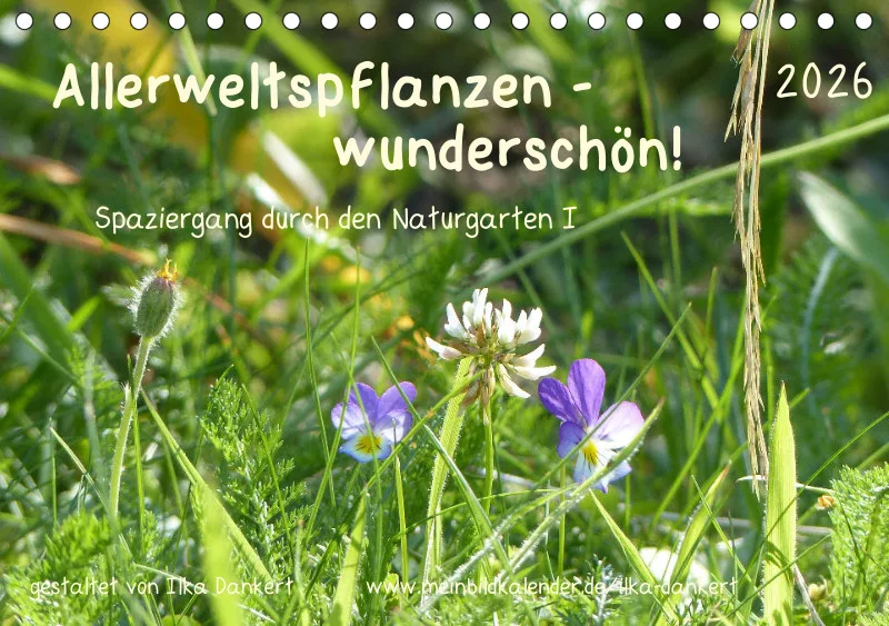 Allerweltspflanzen - wunderschön!