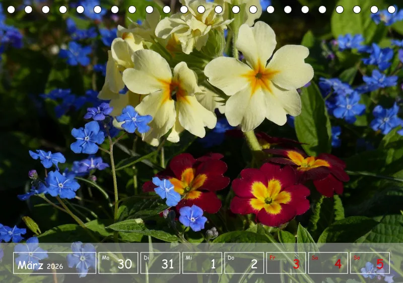 Gartenbilderbuch VI