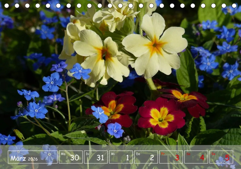 Gartenbilderbuch VI