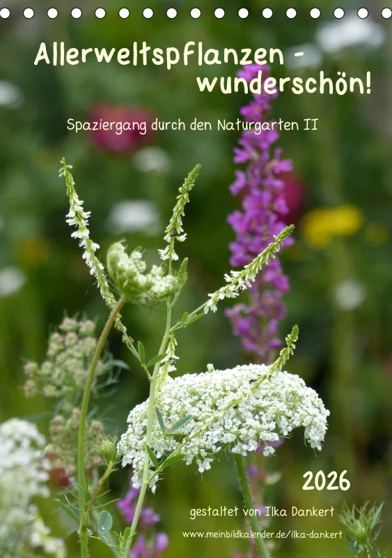 Allerweltspflanzen - wunderschön! II