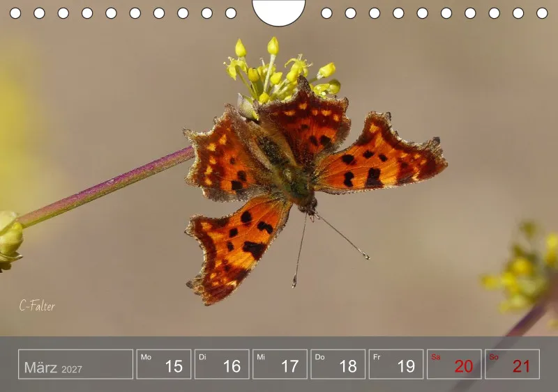 Gartenbilderbuch 2027