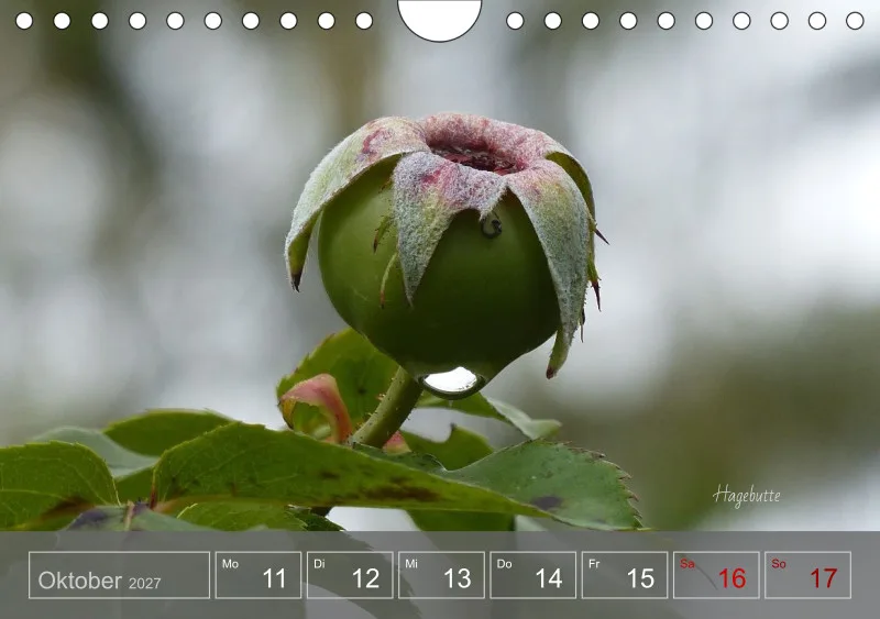 Gartenbilderbuch 2027