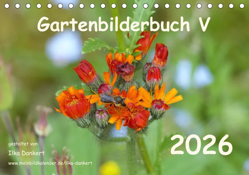 Gartenbilderbuch V