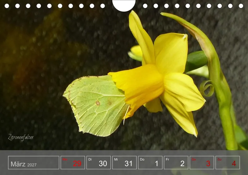 Gartenbilderbuch 2027