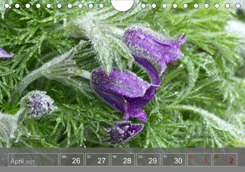 Gartenbilderbuch 2027
