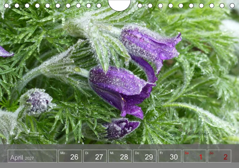 Gartenbilderbuch 2027