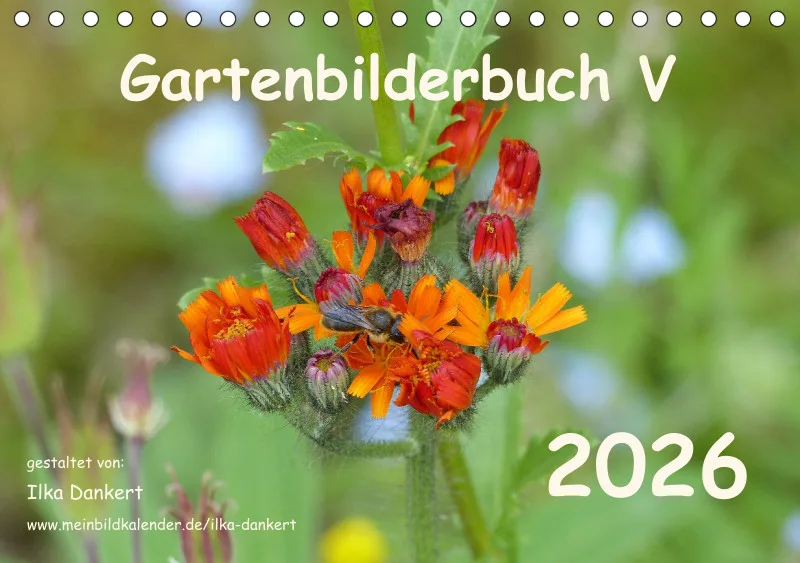 Gartenbilderbuch V