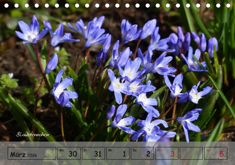 Gartenbilderbuch IV