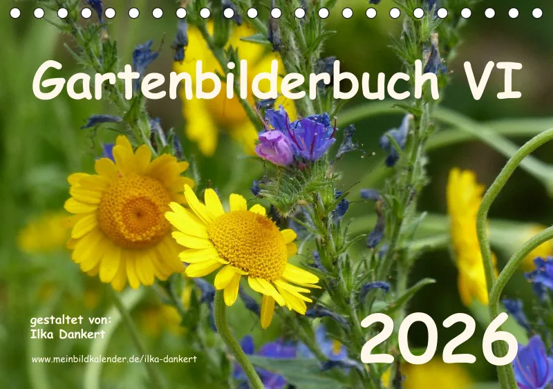 Gartenbilderbuch VI