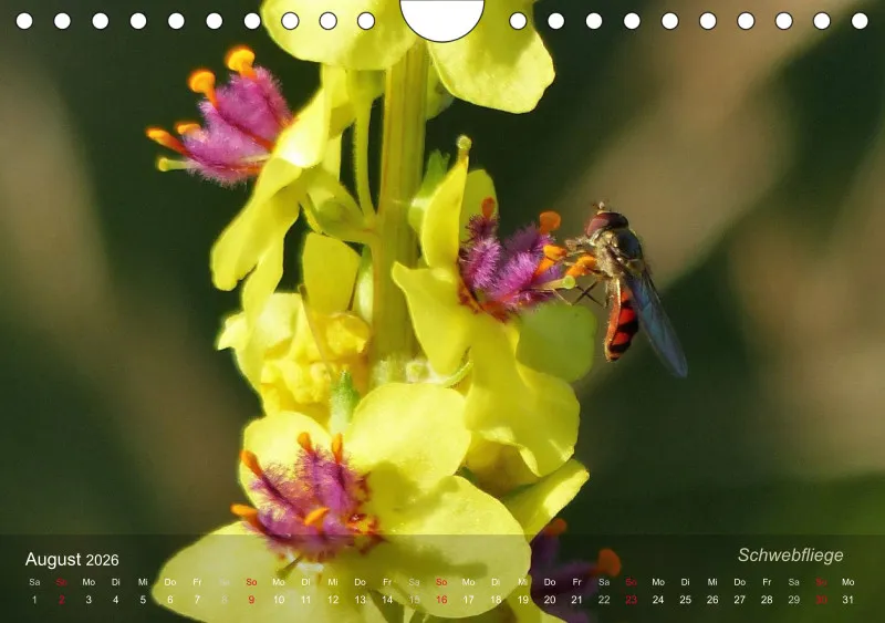Sechsbeinige Gartengesellen