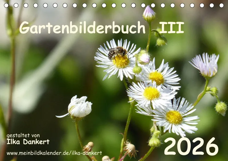 Gartenbilderbuch III