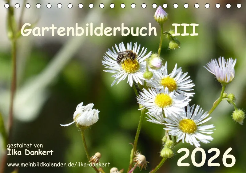 Gartenbilderbuch III
