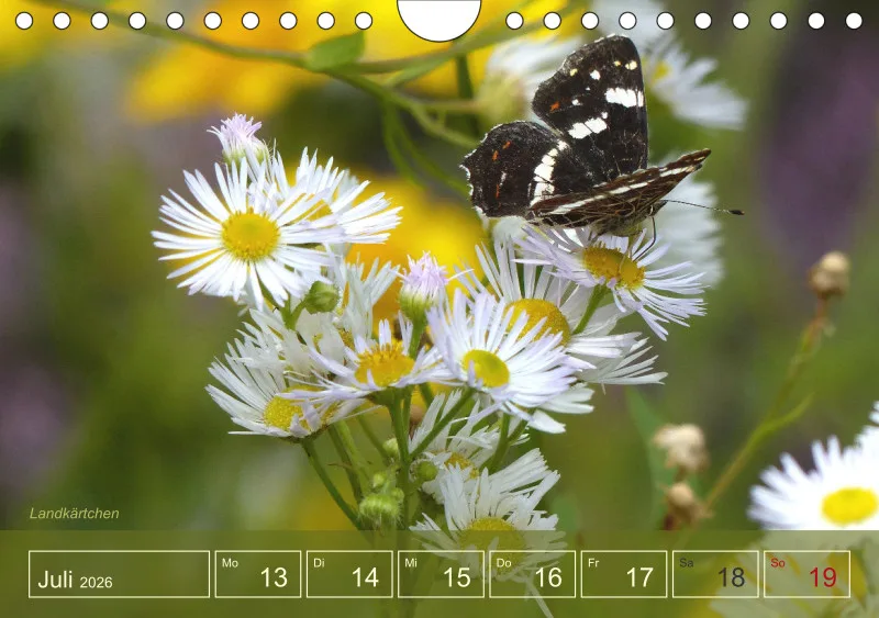 Gartenbilderbuch I