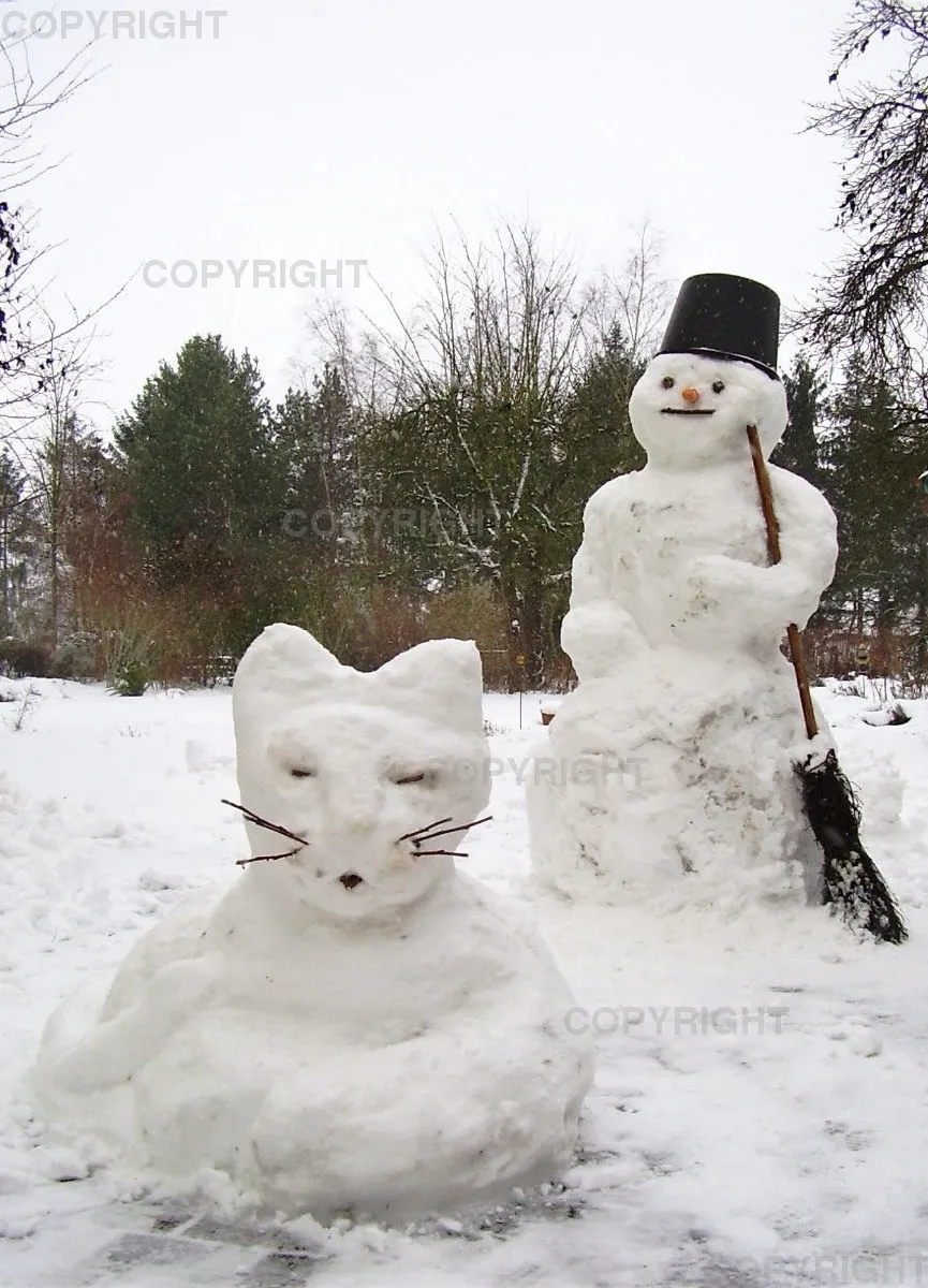 Grußkarte / Schneekatze und Schneemann