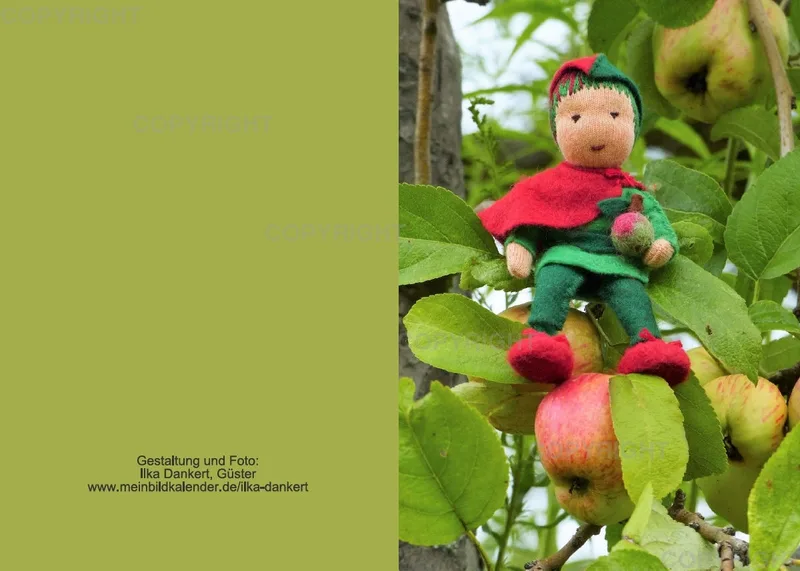 Klappkarte / Apfelprinz