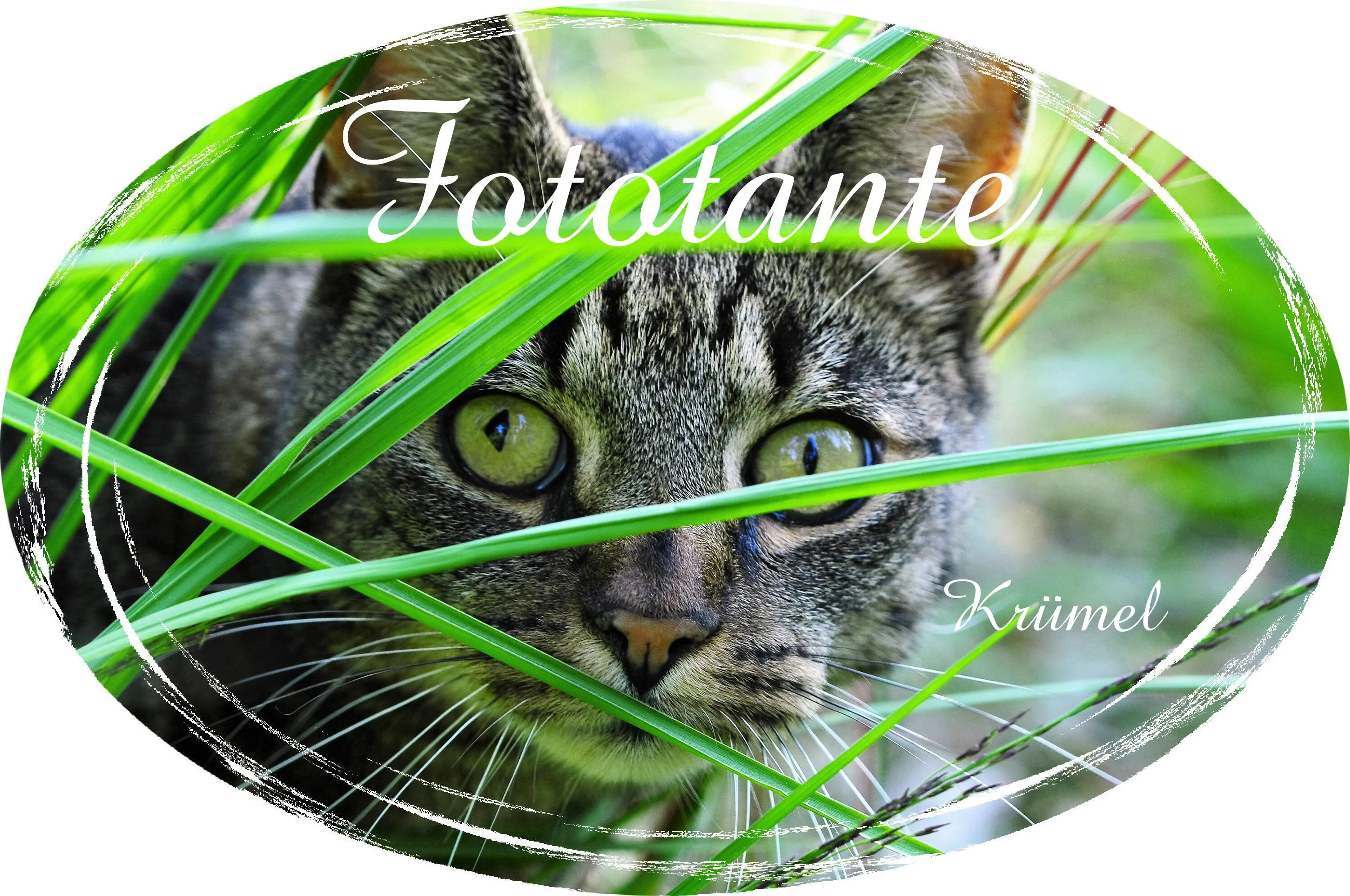 FototanteKrümel