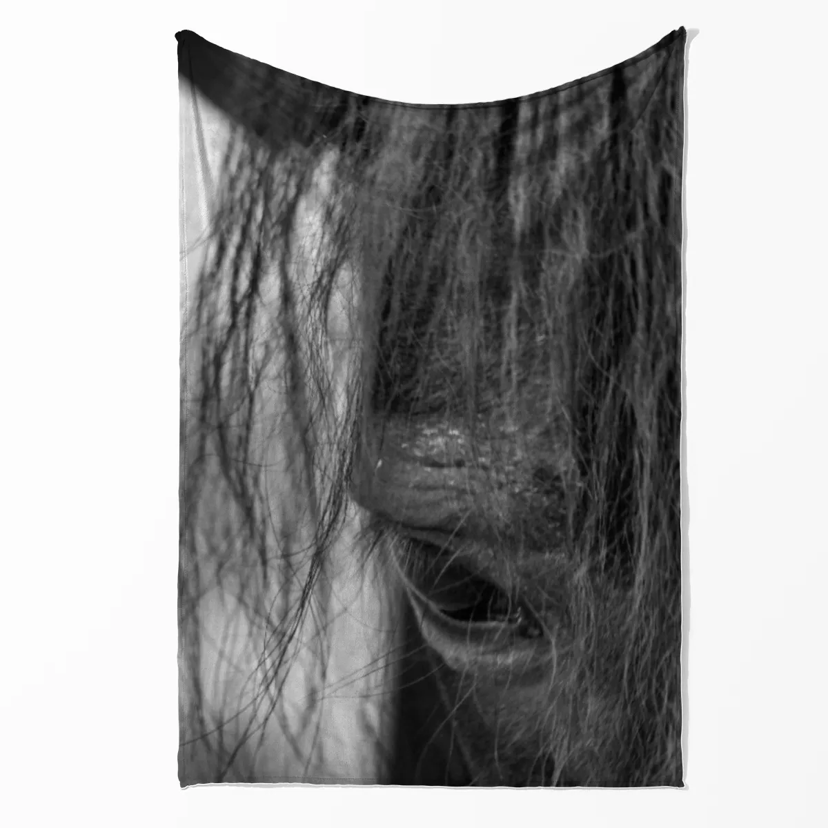 Pony
