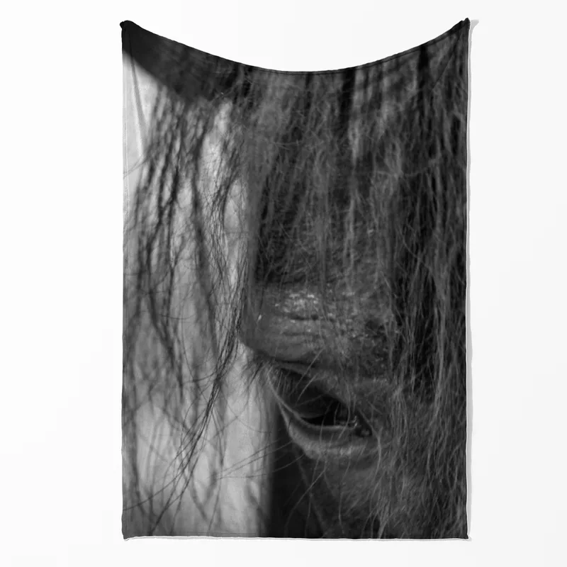 Pony