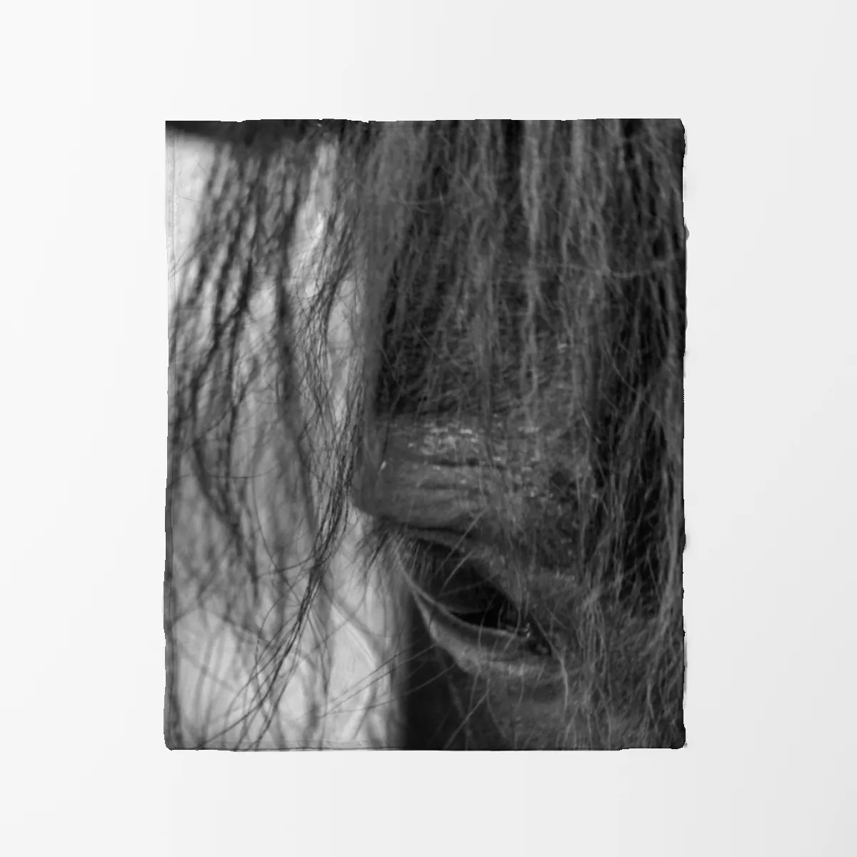 Pony