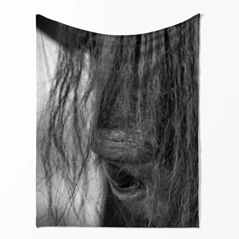 Pony