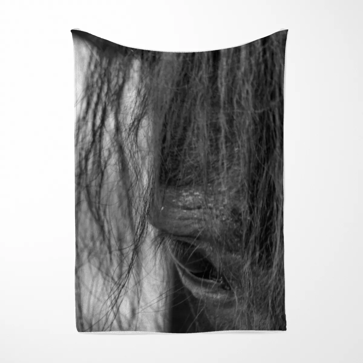 Pony