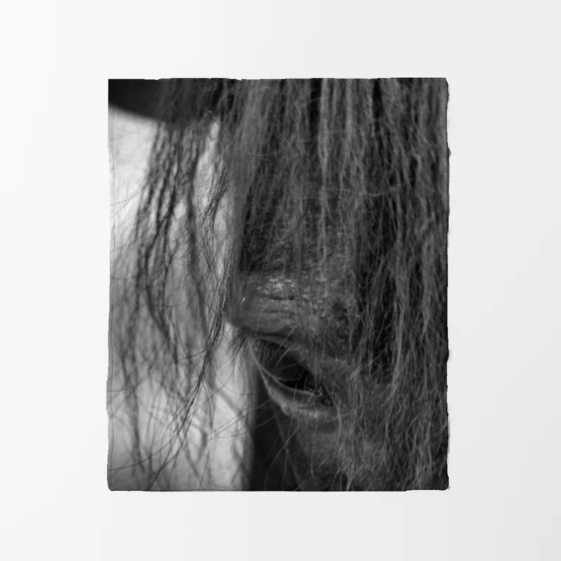 Pony