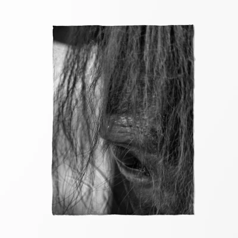 Pony