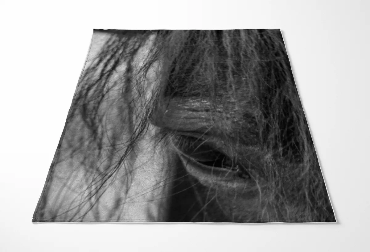 Pony