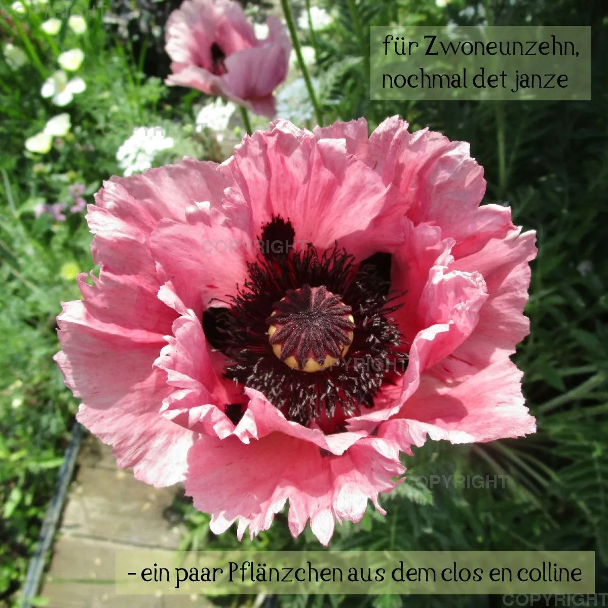Für 2019