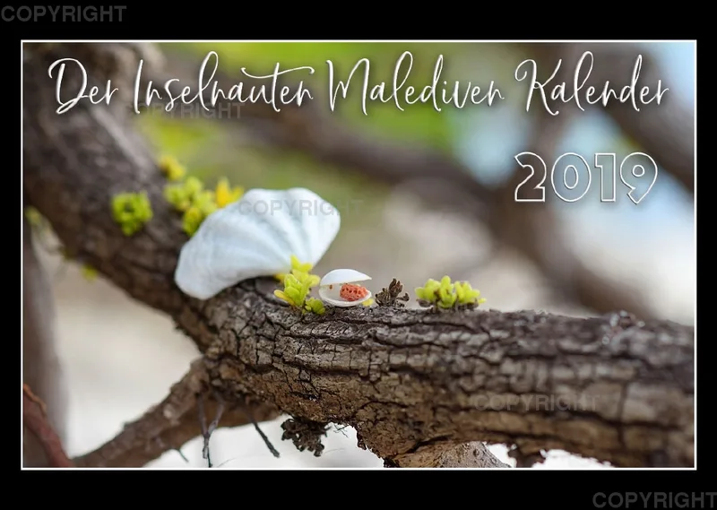 Inselnauten Malediven Kalender 2019