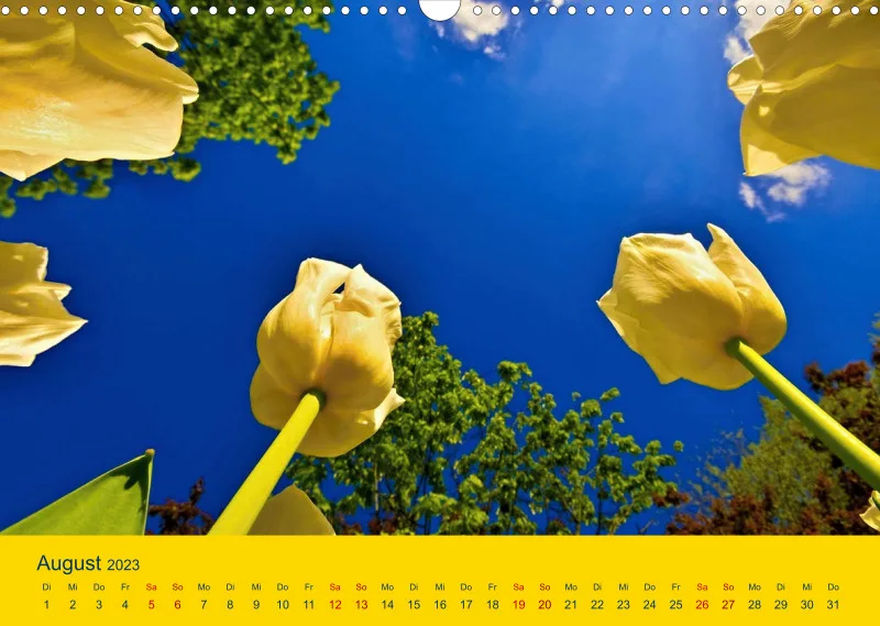 Tulpenkalender